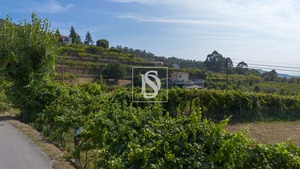 Terreno Rstico T0 - Gouveia (So Simo), Amarante, Porto - Miniatura: 22/24