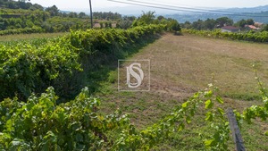 Terreno Rstico T0 - Gouveia (So Simo), Amarante, Porto - Miniatura: 24/24