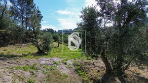Terreno Urbano T0 - Gouveia (So Simo), Amarante, Porto - Miniatura: 15/18