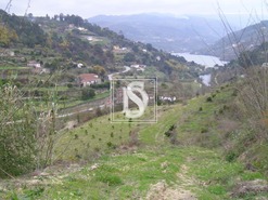 Terreno Urbano T0 - Penha Longa, Marco de Canaveses, Porto - Miniatura: 1/2