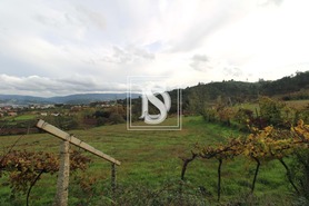 Terreno Rstico T0 - FREIXO DE CIMA E DE BAIXO, Amarante, Porto - Miniatura: 2/11