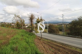 Terreno Rstico T0 - FREIXO DE CIMA E DE BAIXO, Amarante, Porto - Miniatura: 11/11