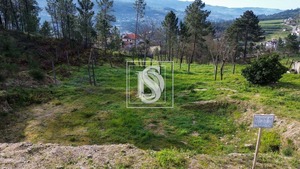 Terreno Rstico T0 - Amarante, Amarante, Porto - Miniatura: 1/10