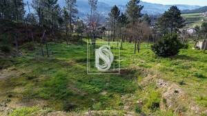 Terreno Rstico T0 - Amarante, Amarante, Porto - Miniatura: 3/10