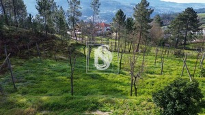 Terreno Rstico T0 - Amarante, Amarante, Porto - Miniatura: 4/10