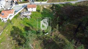 Terreno Rstico T0 - Amarante, Amarante, Porto - Miniatura: 6/10