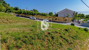 Terreno Rstico T0 - Amarante, Amarante, Porto - Miniatura: 18/25