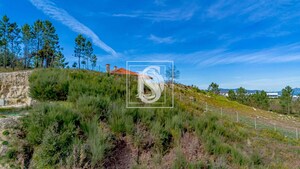 Terreno Rstico T0 - Fregim, Amarante, Porto - Miniatura: 6/14