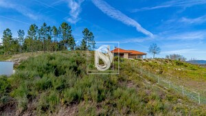 Terreno Rstico T0 - Fregim, Amarante, Porto - Miniatura: 7/14