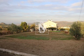 Moradia T4 - Cepes, Lamego, Viseu - Miniatura: 1/20
