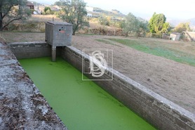 Moradia T4 - Cepes, Lamego, Viseu - Miniatura: 2/20