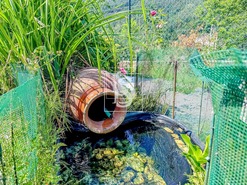 Moradia T2 - Olo, Amarante, Porto - Miniatura: 18/37