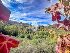 Apartamento T0 - Candemil, Amarante, Porto - Miniatura: 22/50