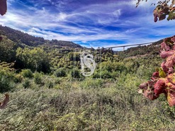 Apartamento T0 - Candemil, Amarante, Porto - Miniatura: 23/50