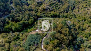 Apartamento T0 - Candemil, Amarante, Porto - Miniatura: 31/50