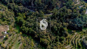 Apartamento T0 - Candemil, Amarante, Porto - Miniatura: 38/50