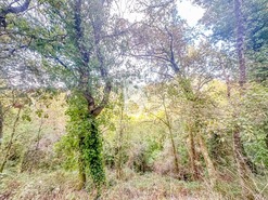 Apartamento T0 - Candemil, Amarante, Porto - Miniatura: 48/50