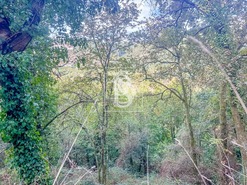 Apartamento T0 - Candemil, Amarante, Porto - Miniatura: 49/50