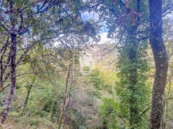 Apartamento T0 - Candemil, Amarante, Porto - Miniatura: 50/50