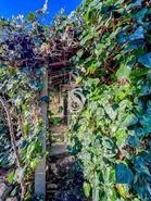 Moradia T3 - Amarante, Amarante, Porto - Miniatura: 23/55