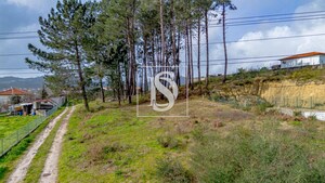 Terreno R�stico T0 - Fregim, Amarante, Porto - Miniatura: 1/25