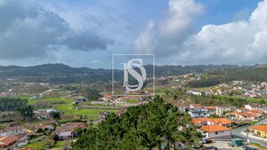 Terreno R�stico T0 - Fregim, Amarante, Porto - Miniatura: 5/25