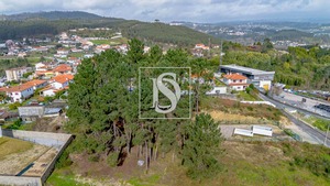 Terreno R�stico T0 - Fregim, Amarante, Porto - Miniatura: 10/25