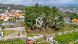 Terreno R�stico T0 - Fregim, Amarante, Porto - Miniatura: 11/25