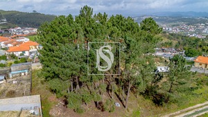 Terreno R�stico T0 - Fregim, Amarante, Porto - Miniatura: 12/25