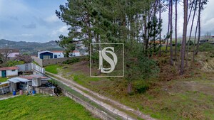 Terreno R�stico T0 - Fregim, Amarante, Porto - Miniatura: 18/25