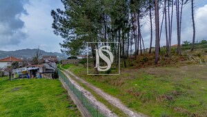 Terreno R�stico T0 - Fregim, Amarante, Porto - Miniatura: 19/25