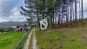 Terreno R�stico T0 - Fregim, Amarante, Porto - Miniatura: 20/25