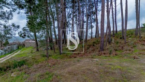 Terreno R�stico T0 - Fregim, Amarante, Porto - Miniatura: 22/25