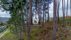 Terreno R�stico T0 - Fregim, Amarante, Porto - Miniatura: 23/25