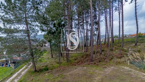 Terreno R�stico T0 - Fregim, Amarante, Porto - Miniatura: 24/25