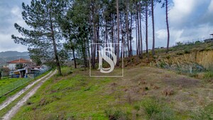 Terreno R�stico T0 - Fregim, Amarante, Porto - Miniatura: 25/25