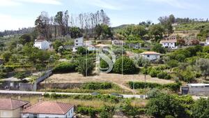 Terreno R�stico - Ancede, Bai�o, Porto - Miniatura: 5/29