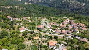 Terreno R�stico - Ancede, Bai�o, Porto - Miniatura: 10/29