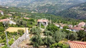 Terreno R�stico - Ancede, Bai�o, Porto - Miniatura: 11/29