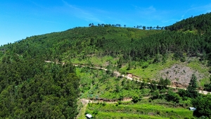 Moradia - Aboadela, Amarante, Porto - Miniatura: 23/25