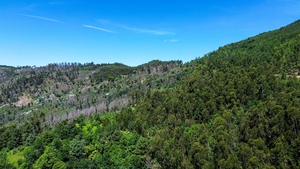 Moradia - Aboadela, Amarante, Porto - Miniatura: 25/25