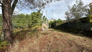 Terreno R�stico - Padronelo, Amarante, Porto - Miniatura: 9/14