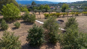 Terreno R�stico - Fregim, Amarante, Porto - Miniatura: 6/7