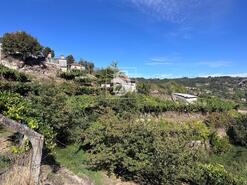 Terreno R�stico - Grilo, Bai�o, Porto - Miniatura: 2/40