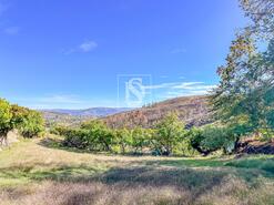 Terreno R�stico - Grilo, Bai�o, Porto - Miniatura: 14/40