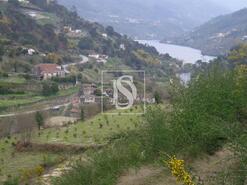 Terreno R�stico - Penha Longa, Marco de Canaveses, Porto - Miniatura: 2/2