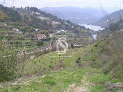 Terreno R�stico - Penha Longa, Marco de Canaveses, Porto - Miniatura: 1/2