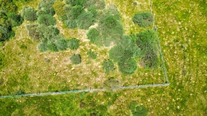 Terreno R�stico - Soalh�es, Marco de Canaveses, Porto - Miniatura: 5/10