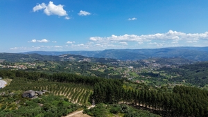 Terreno R�stico - Soalh�es, Marco de Canaveses, Porto - Miniatura: 10/10