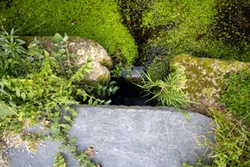 Moradia - Sobrosa, Paredes, Porto - Miniatura: 14/29